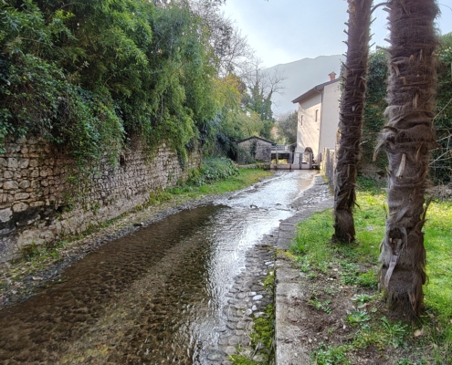 IMG20260307153911